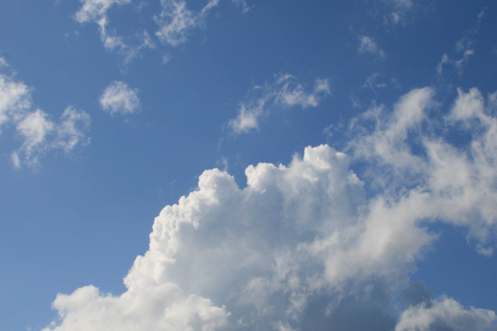 e0052716_85281.jpg