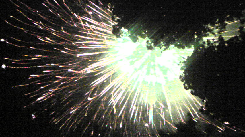 d0004717_16441069.jpg