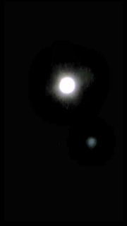 d0004717_16451558.jpg