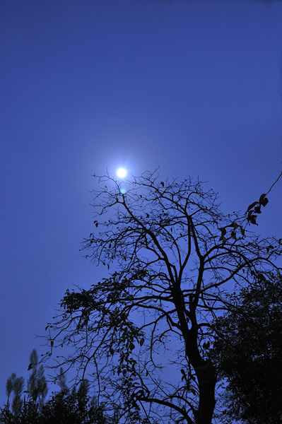 a0059621_23185640.jpg