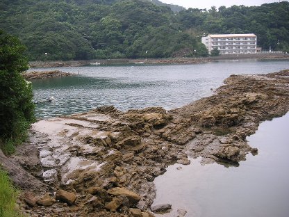 崎戸の美しい海_b0007421_1343349.jpg