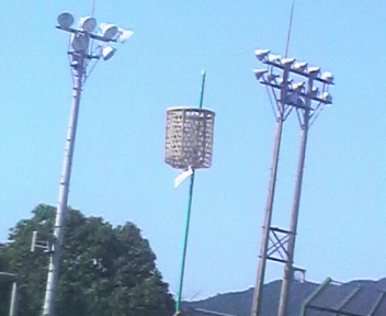 d0150722_21151724.jpg