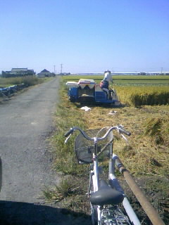 ２００９熊本から・１４_b0091423_1045242.jpg