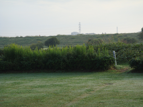 c0117831_20283497.jpg
