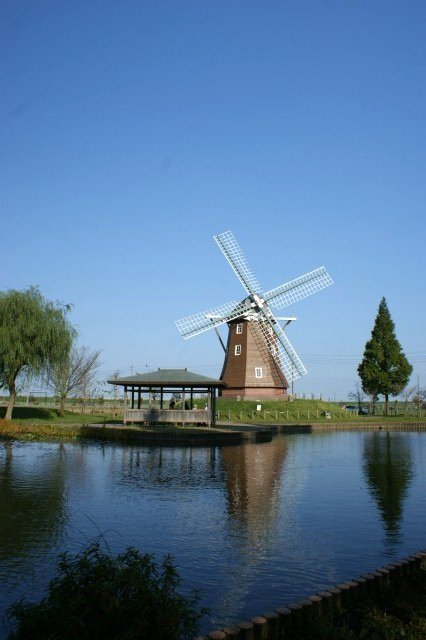 a0122932_9333097.jpg