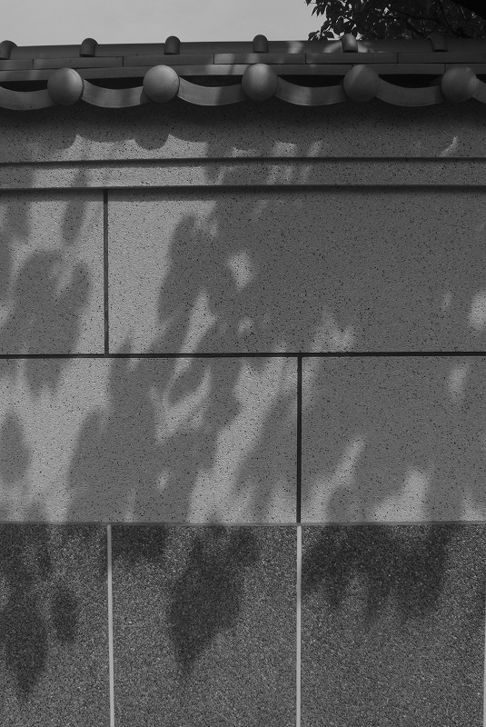 フォトエントランス日比谷　谷中散歩ワークショップ５_f0050534_737262.jpg