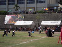 a0134136_05625.jpg