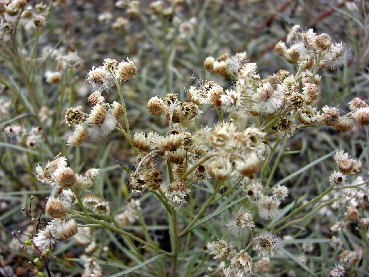 f0020336_2139742.jpg