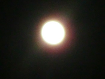 c0183137_10111220.jpg