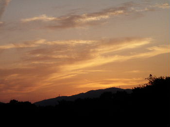 a0054240_2024482.jpg