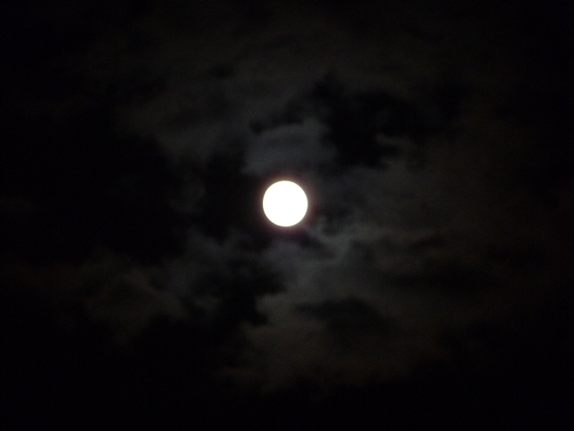 b0190242_0452983.jpg