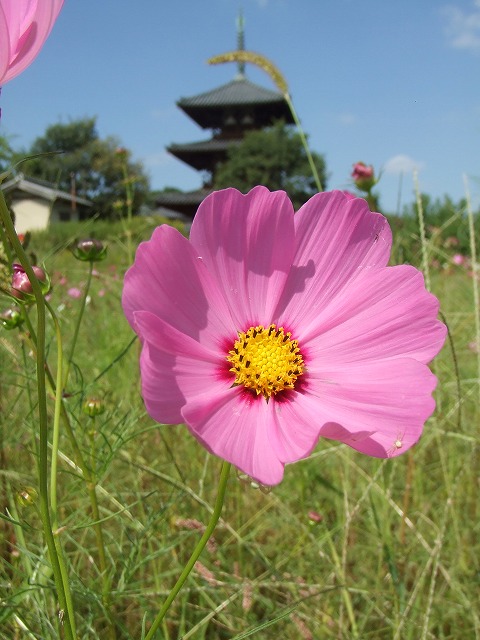 今日も、楽しい日曜日・・・・・_f0068649_2281794.jpg