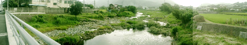 e0033751_19221093.jpg