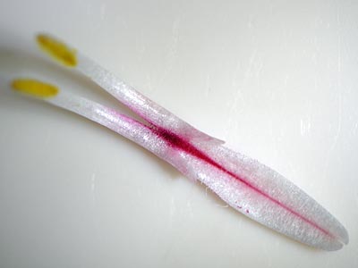 e0035757_002674.jpg