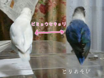 e0147757_23133052.jpg