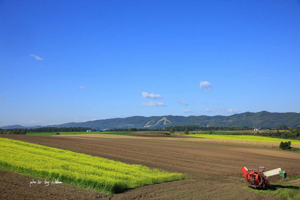 大雪の紅葉あんど夕陽より～_a0039860_18275090.jpg