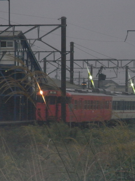 c0009461_8164788.jpg