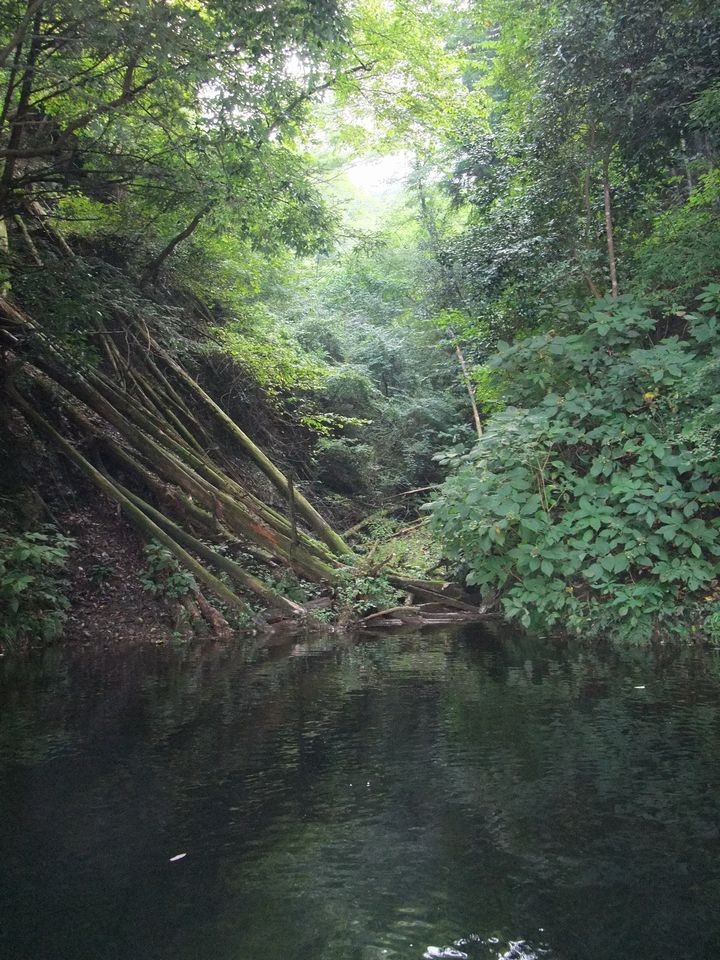 f0098161_23361165.jpg