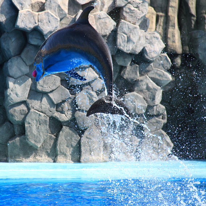 Nice catch!!　【October 2009】_d0108063_2023686.jpg