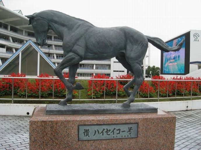 初競馬 to 中山競馬場_e0126164_9411989.jpg