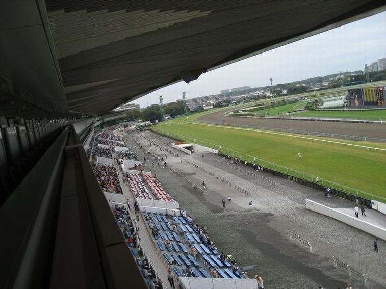 初競馬 to 中山競馬場_e0126164_9415728.jpg