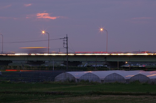 a0091865_20251942.jpg
