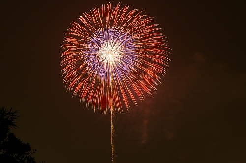 a0091865_2029834.jpg