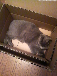 c0200365_22393723.jpg