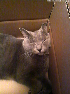 c0200365_22432032.jpg