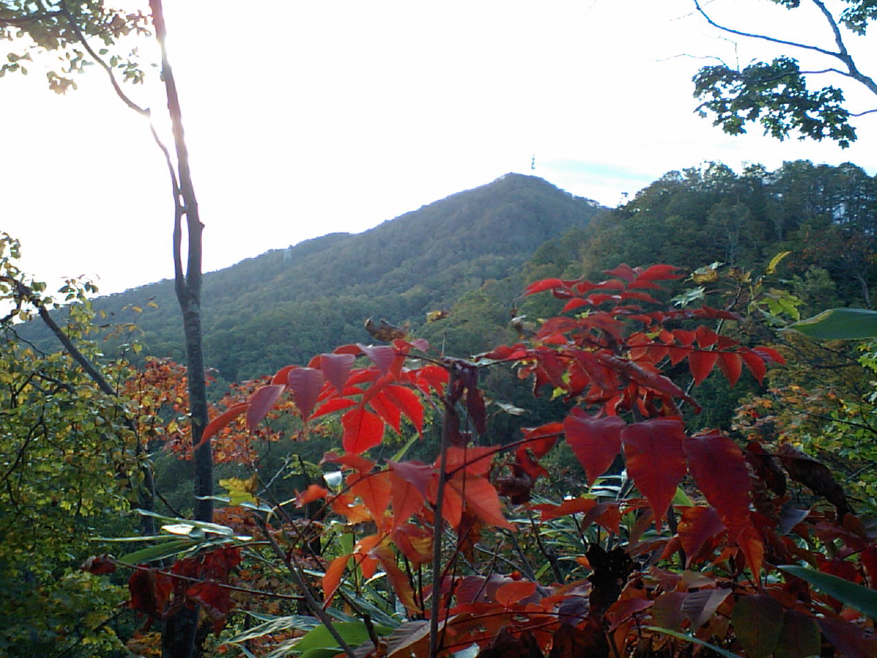 d0098665_18315296.jpg
