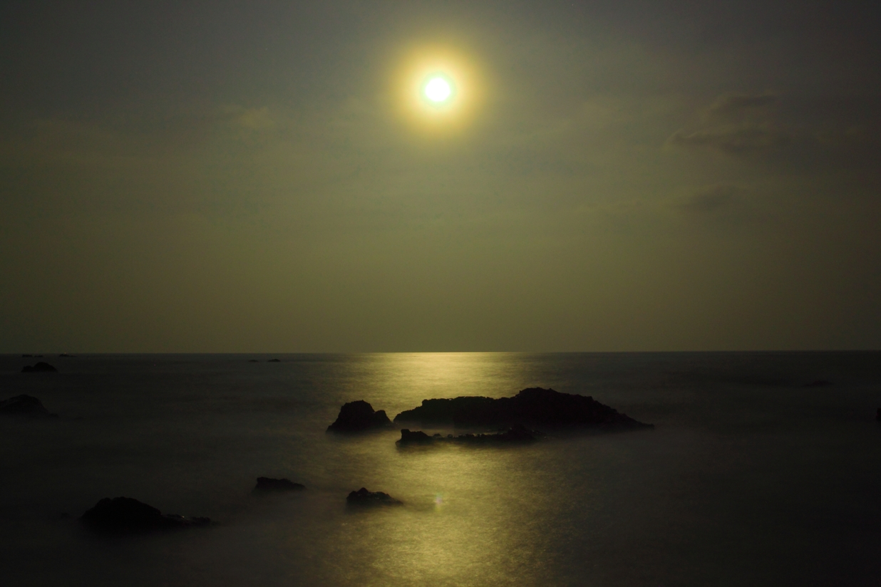月光の海 : 自然の中で