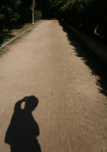 f0195172_17241929.jpg