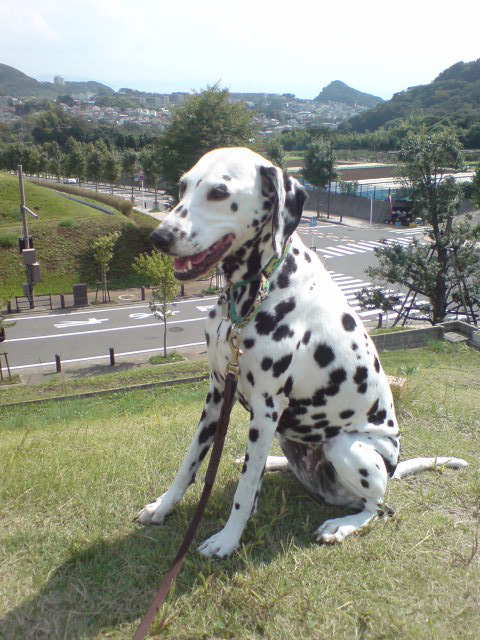 f0054783_1854863.jpg