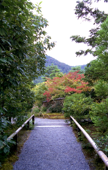 京都ひとり旅。ところにより、パワースポットめぐり。#6_b0112584_003529.jpg