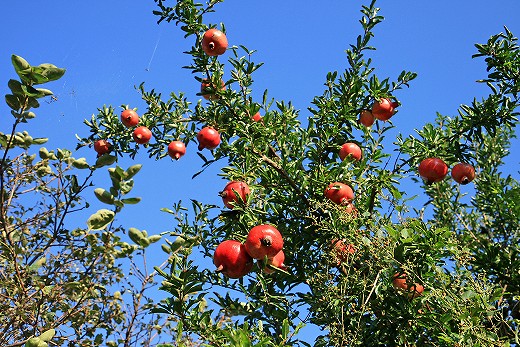 e0190885_19155153.jpg