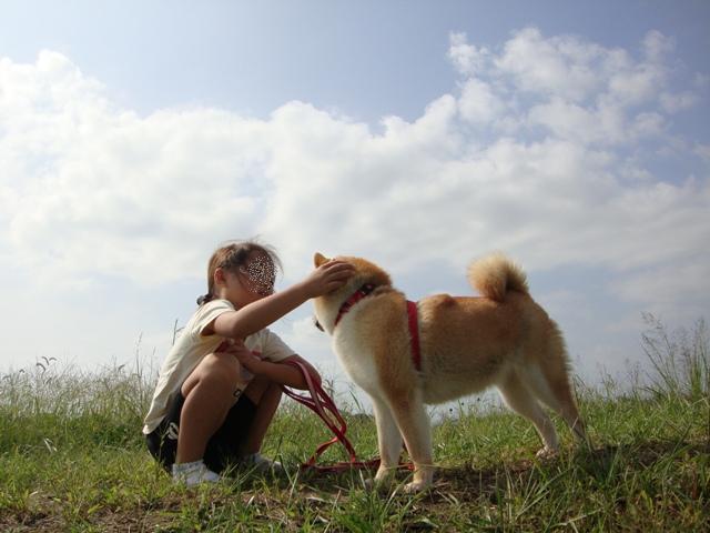 大人になったら犬を飼おう_a0126590_22283672.jpg