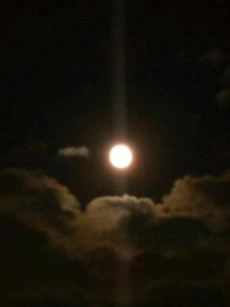 b0107494_7335682.jpg
