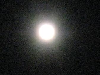 c0119197_6293098.jpg