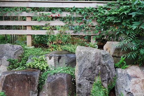 c0124100_17561837.jpg