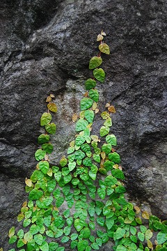 c0124100_17594250.jpg