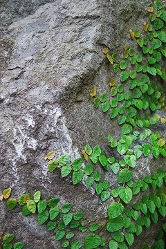 c0124100_1759564.jpg