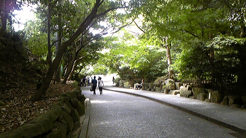 a0078706_1811772.jpg