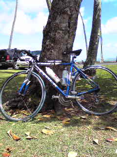 c0137507_22405254.jpg