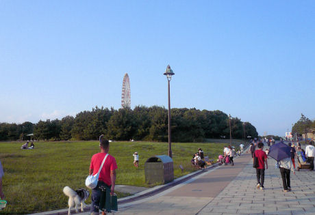 海浜公園でＢＢＱ-1-_f0112407_20552758.jpg