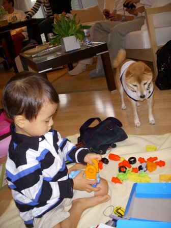 f0004309_1650255.jpg