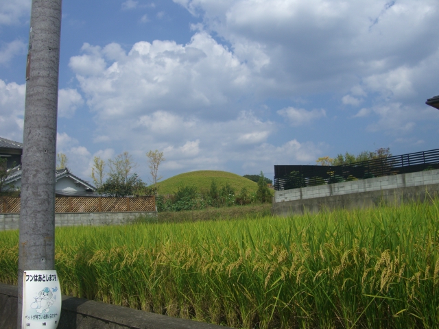 d0007913_11562666.jpg
