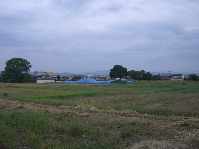 d0007913_12145722.jpg