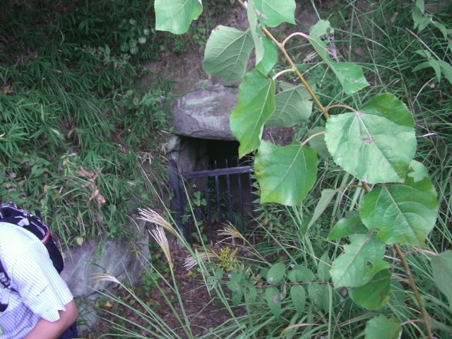 d0007913_1292629.jpg