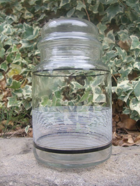 c0210815_14145226.jpg