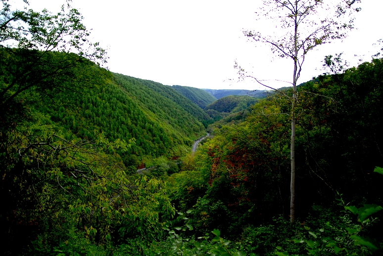 c0144427_21304077.jpg